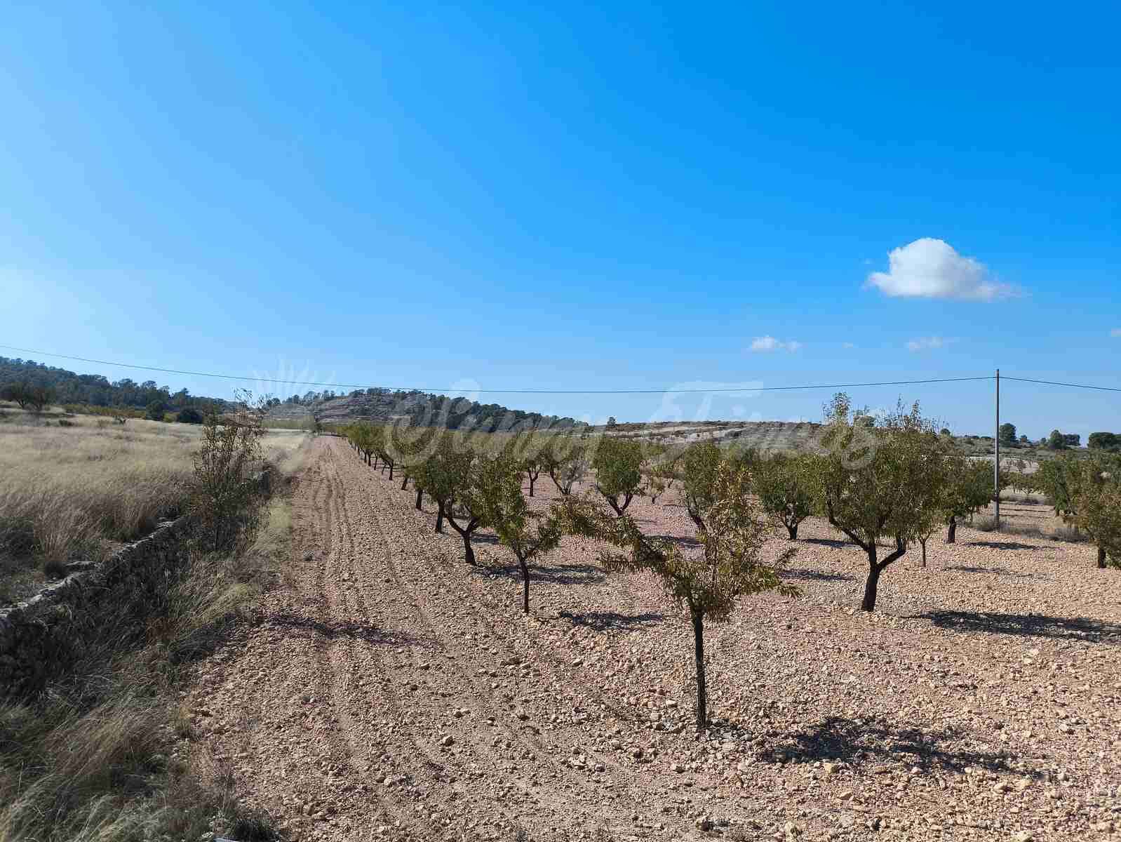 Grond te koop in Jumilla - € 29.900 (Ref: 9339234)