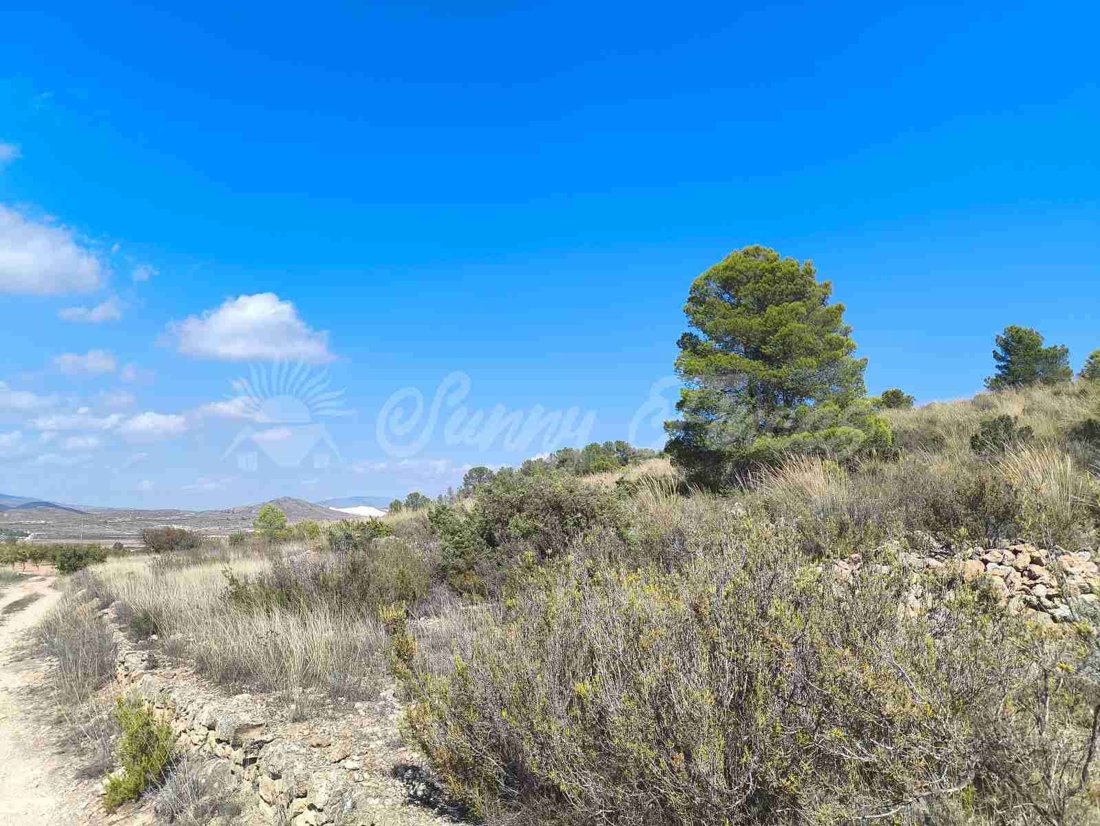 Grond te koop in Jumilla - € 29.900 (Ref: 9339234)