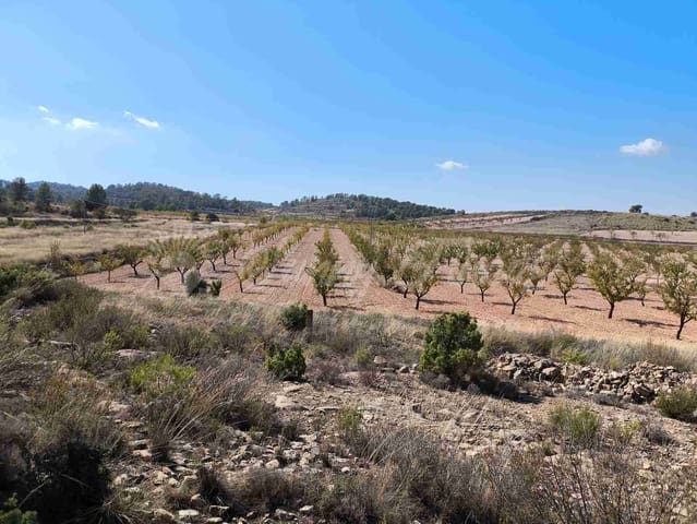 Grond te koop in Jumilla - € 29.900 (Ref: 9339234)