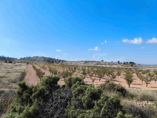 Grond te koop in Jumilla - € 29.900 (Ref: 9339234)