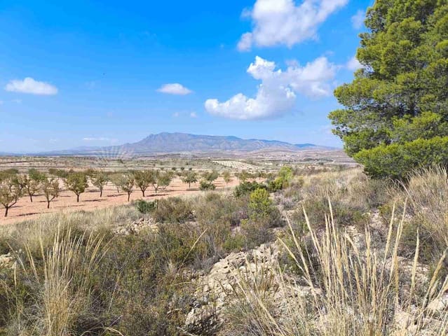 Grond te koop in Jumilla - € 29.900 (Ref: 9339234)