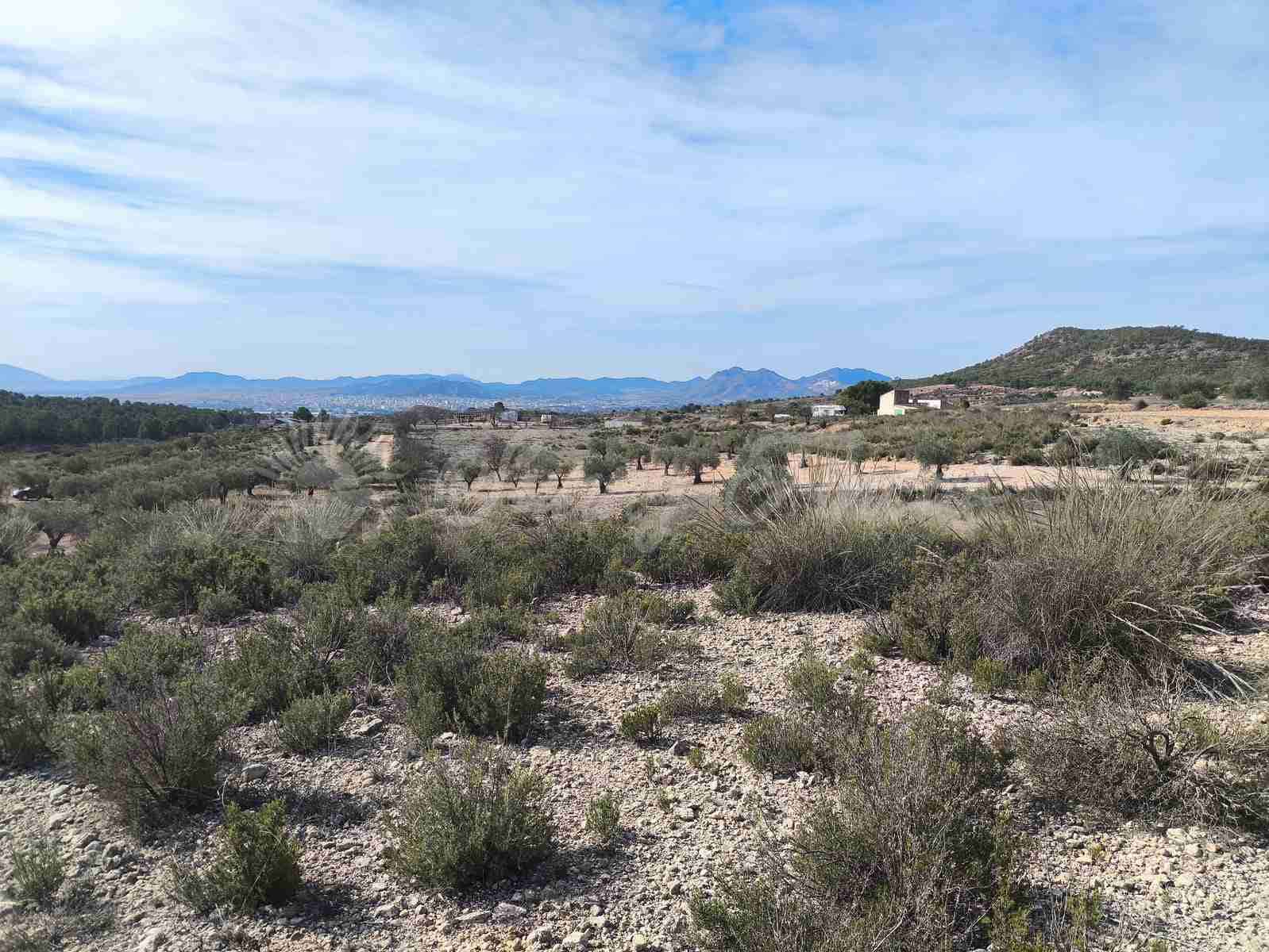 Ruin till salu i Yecla - 30 000 € (Ref: 9400028)