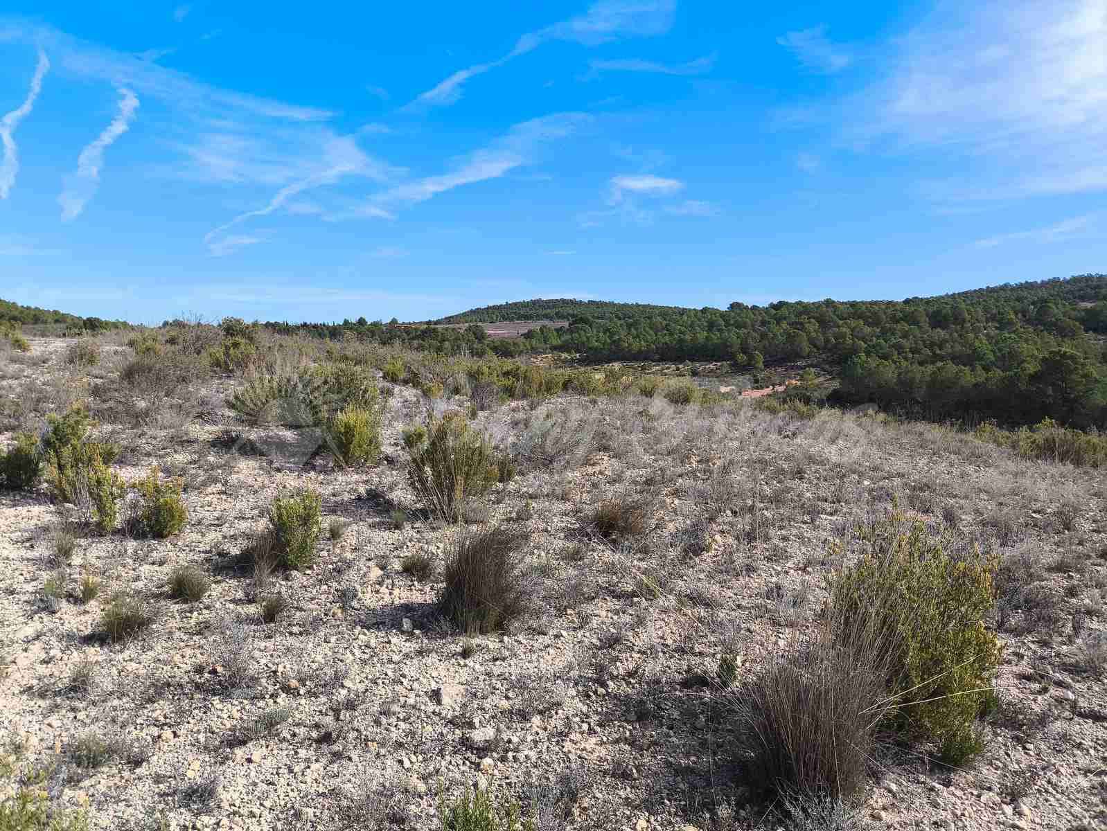 Ruin till salu i Yecla - 30 000 € (Ref: 9400028)