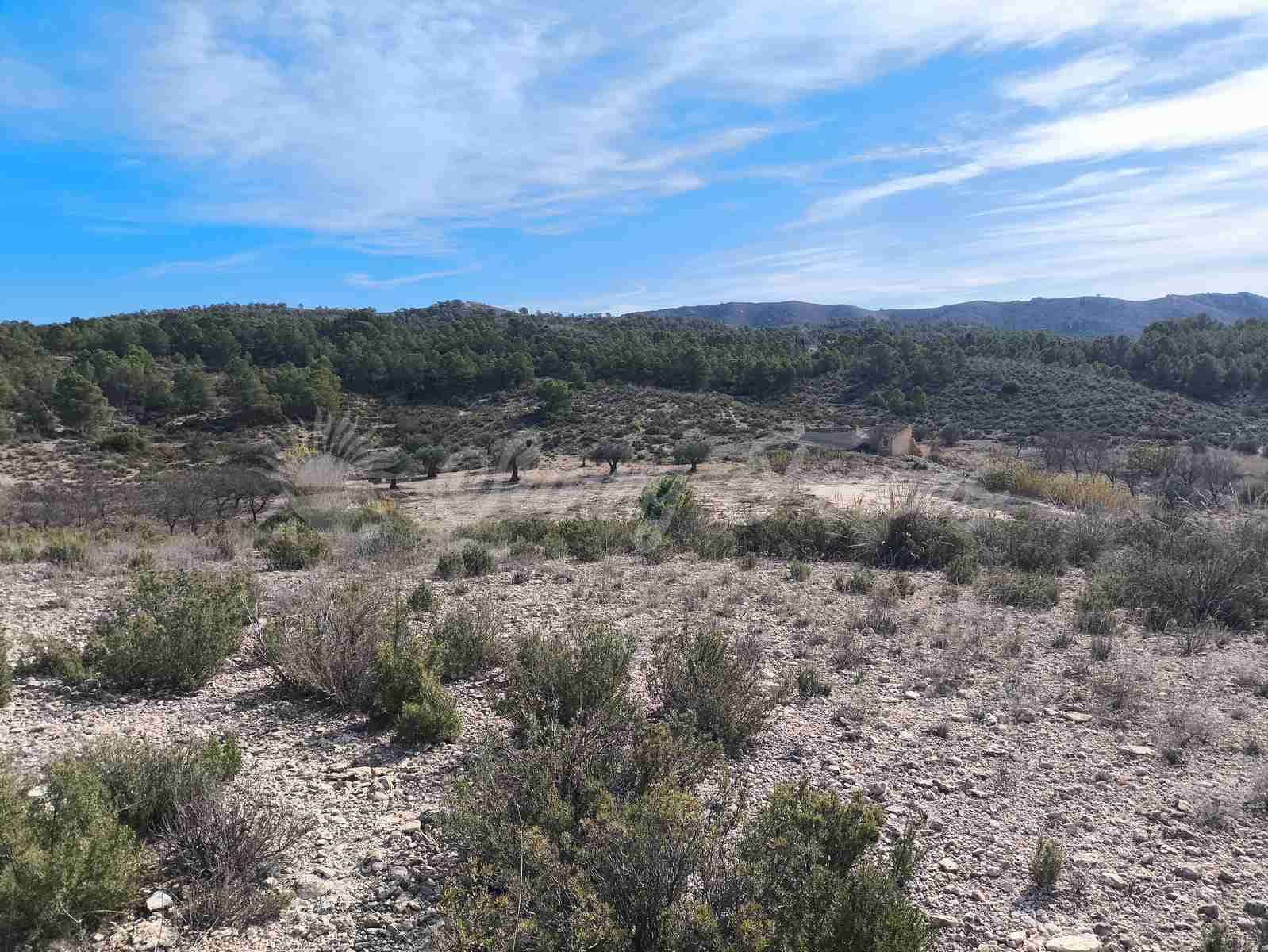 Ruin till salu i Yecla - 30 000 € (Ref: 9400028)