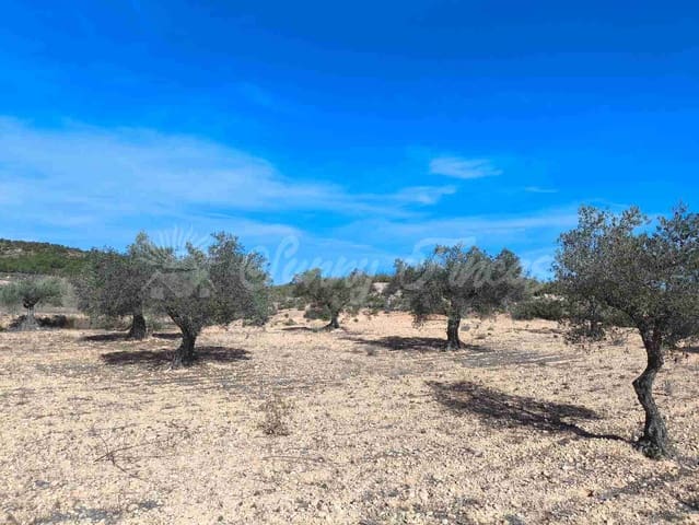 Ruïne te koop in Yecla - € 30.000 (Ref: 9400028)