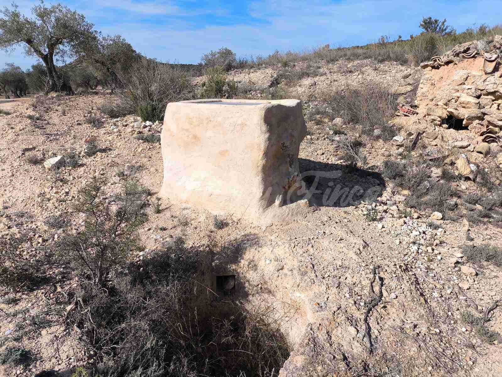Ruin till salu i Yecla - 30 000 € (Ref: 9400028)
