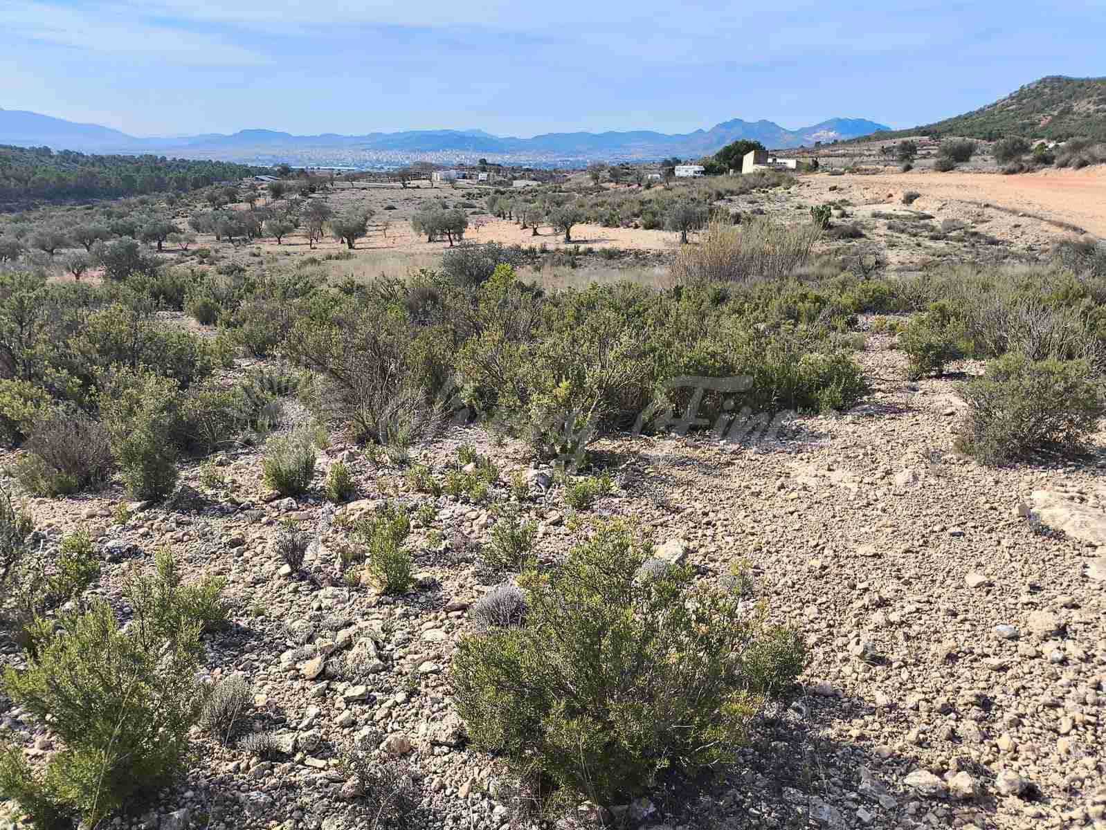 Ruin till salu i Yecla - 30 000 € (Ref: 9400028)