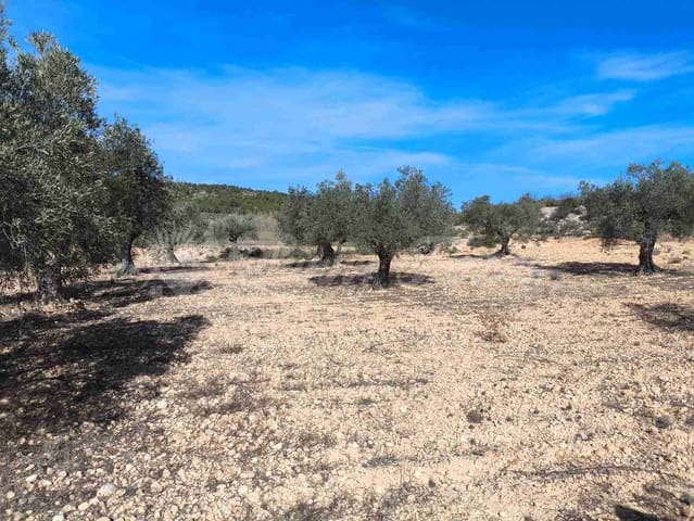 Ruïne te koop in Yecla - € 30.000 (Ref: 9400028)