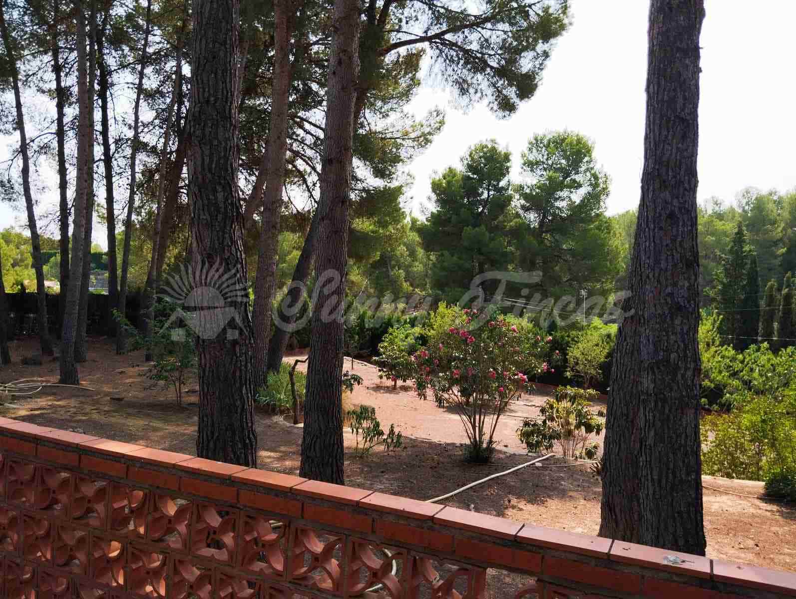 4 slaapkamer Finca/Landhuis te koop in Almansa met zwembad garage - € 235.000 (Ref: 9404572)