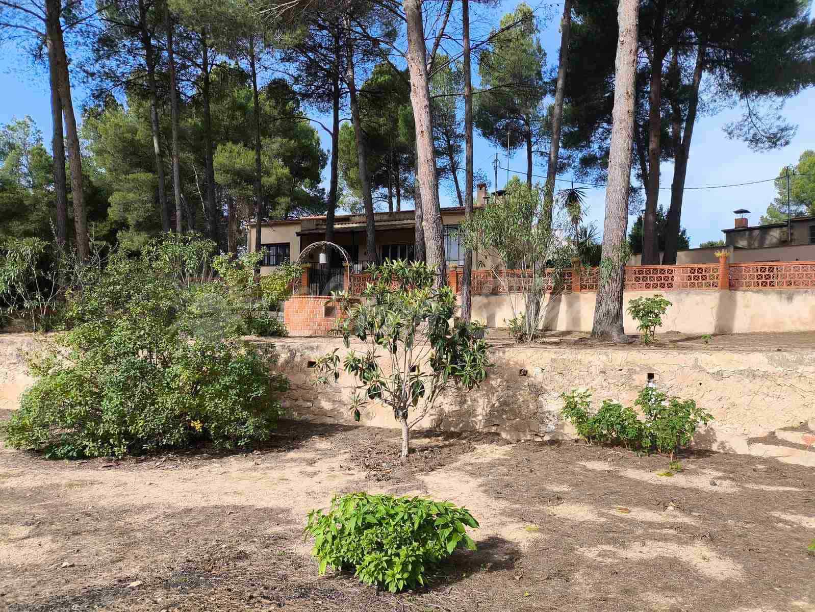 4 slaapkamer Finca/Landhuis te koop in Almansa met zwembad garage - € 235.000 (Ref: 9404572)