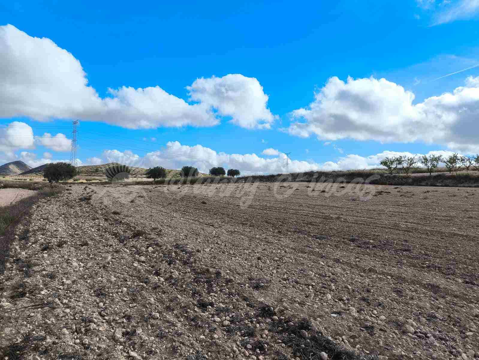 Undeveloped Land for sale in Torre del Rico - € 29,000 (Ref: 9412923)