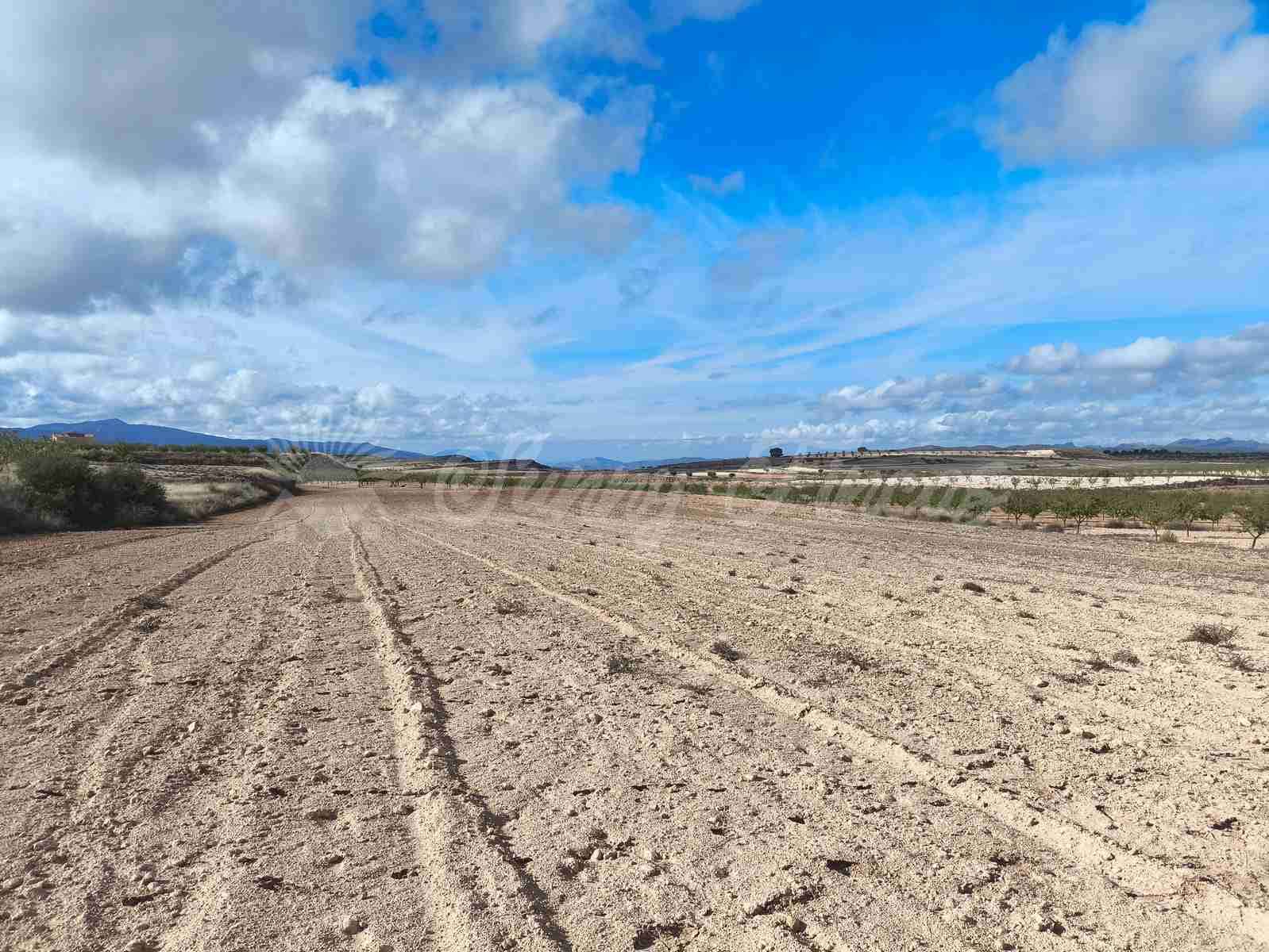 Undeveloped Land for sale in Torre del Rico - € 29,000 (Ref: 9412923)