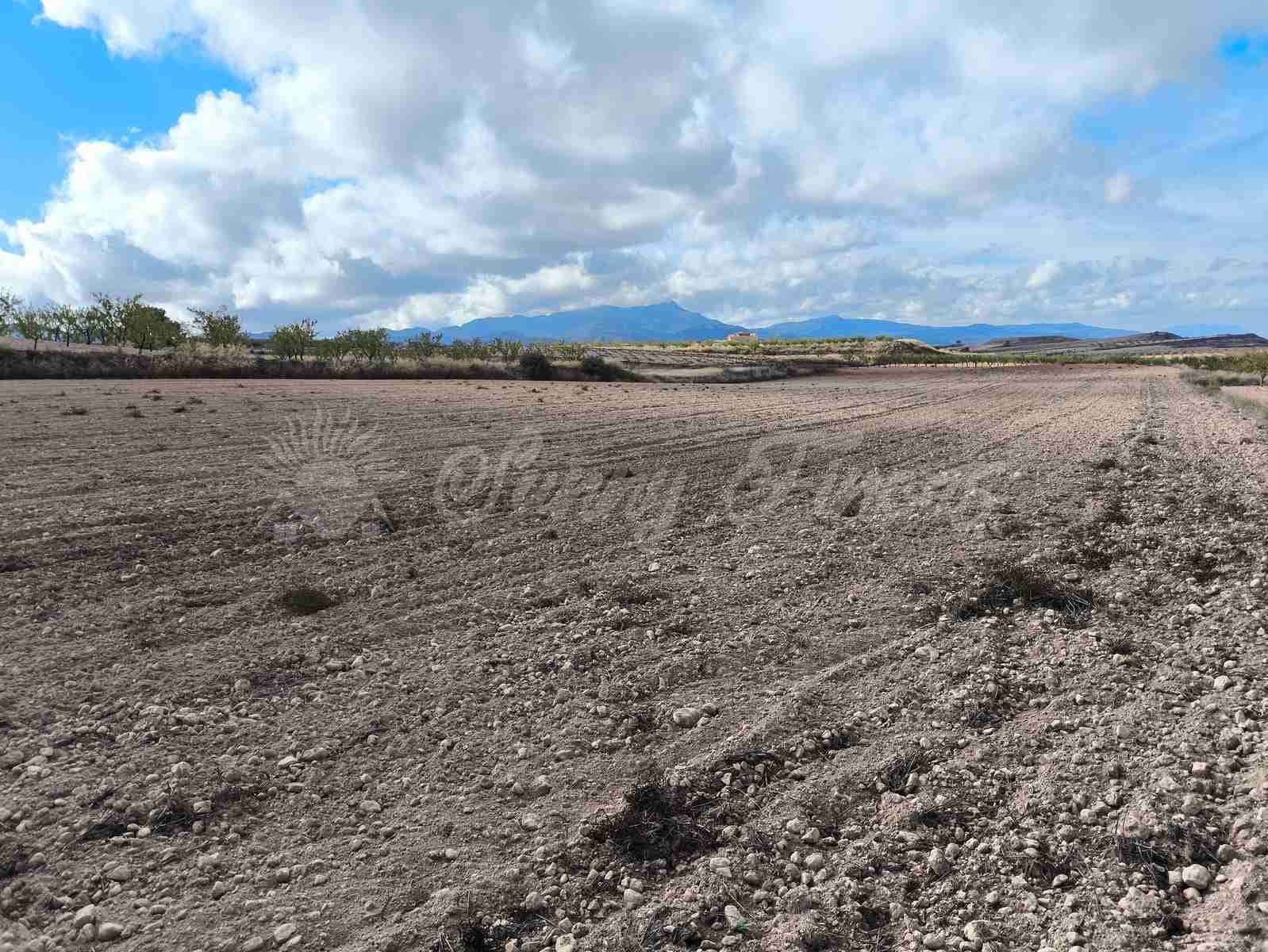 Undeveloped Land for sale in Torre del Rico - € 29,000 (Ref: 9412923)