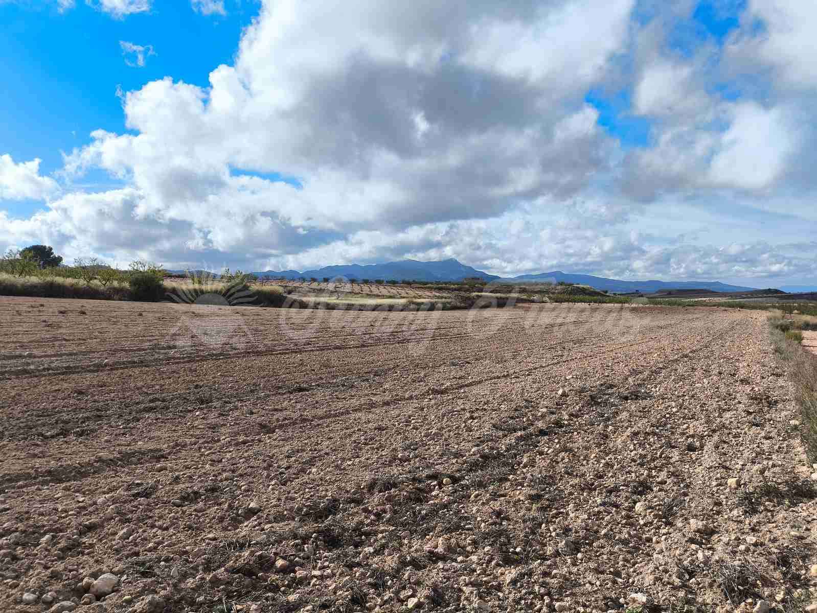 Undeveloped Land for sale in Torre del Rico - € 29,000 (Ref: 9412923)