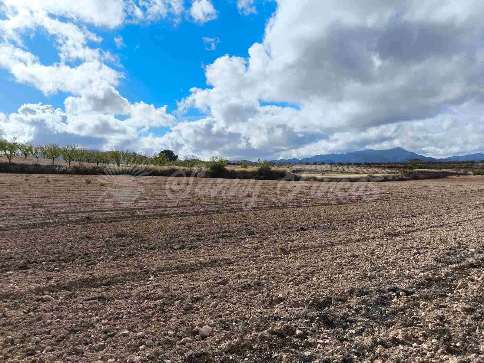 Undeveloped Land for sale in Torre del Rico - € 29,000 (Ref: 9412923)