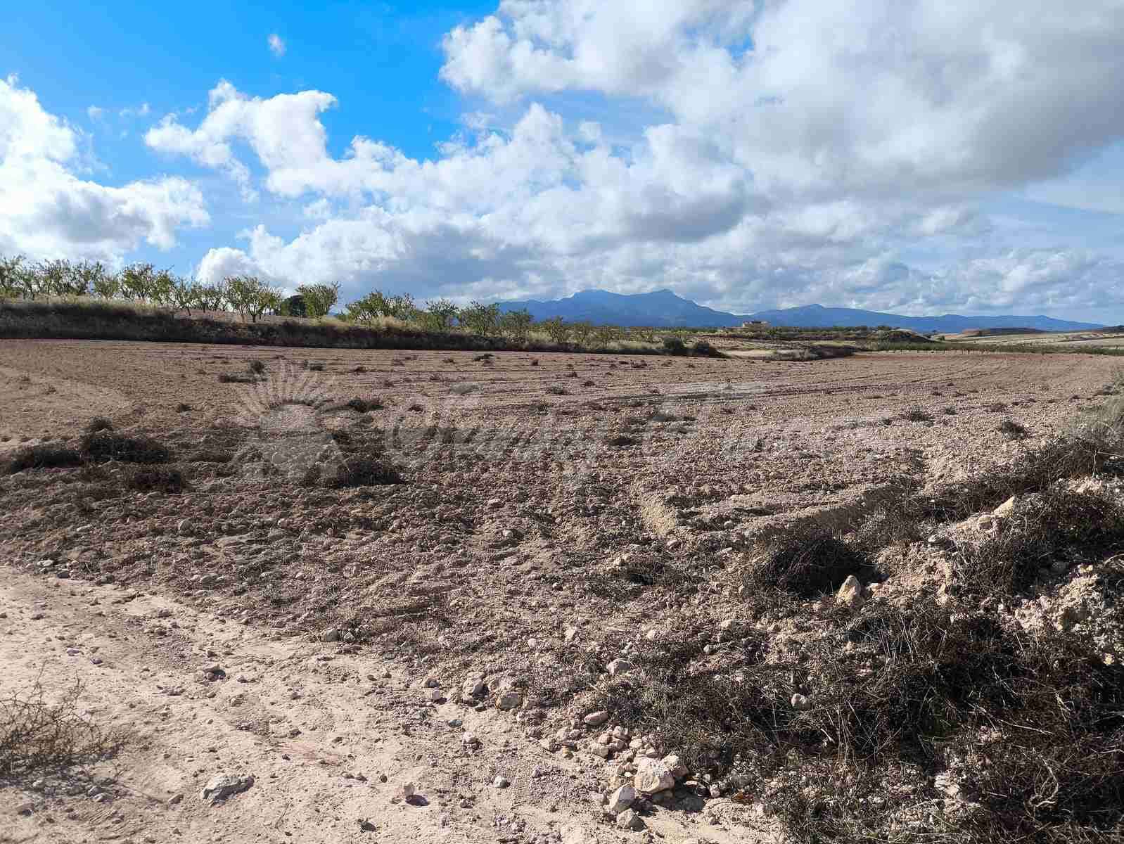 Undeveloped Land for sale in Torre del Rico - € 29,000 (Ref: 9412923)