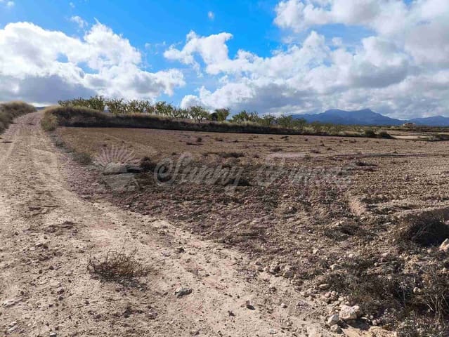 Undeveloped Land for sale in Torre del Rico, Jumilla - € 29,000 (Ref: 9412923)
