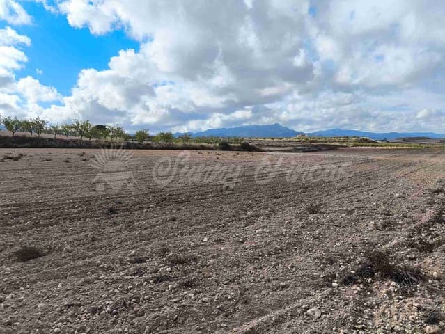 Undeveloped Land for sale in Torre del Rico, Jumilla - € 29,000 (Ref: 9412923)