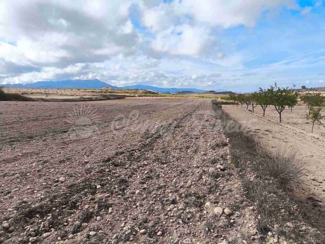 Undeveloped Land for sale in Torre del Rico, Jumilla - € 29,000 (Ref: 9412923)