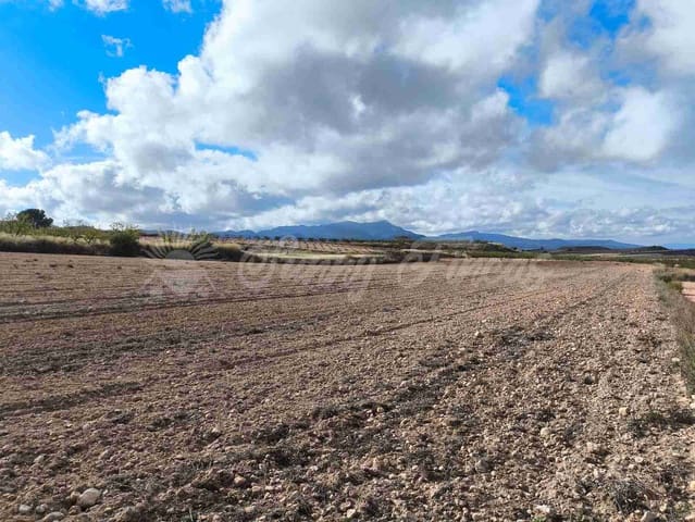 Undeveloped Land for sale in Torre del Rico, Jumilla - € 29,000 (Ref: 9412923)