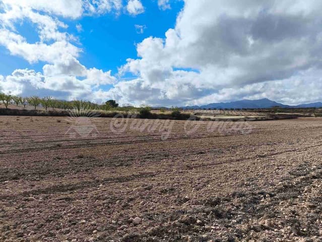Undeveloped Land for sale in Torre del Rico, Jumilla - € 29,000 (Ref: 9412923)