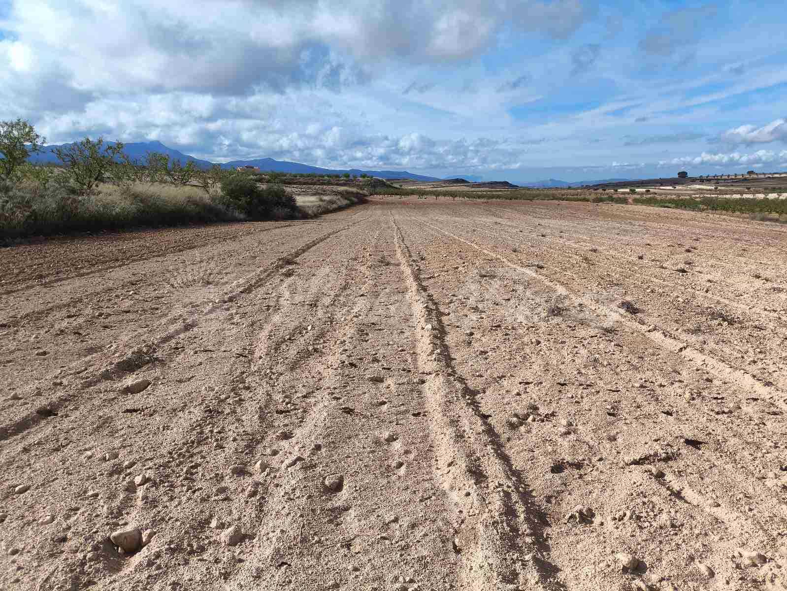 Undeveloped Land for sale in Torre del Rico - € 29,000 (Ref: 9412923)