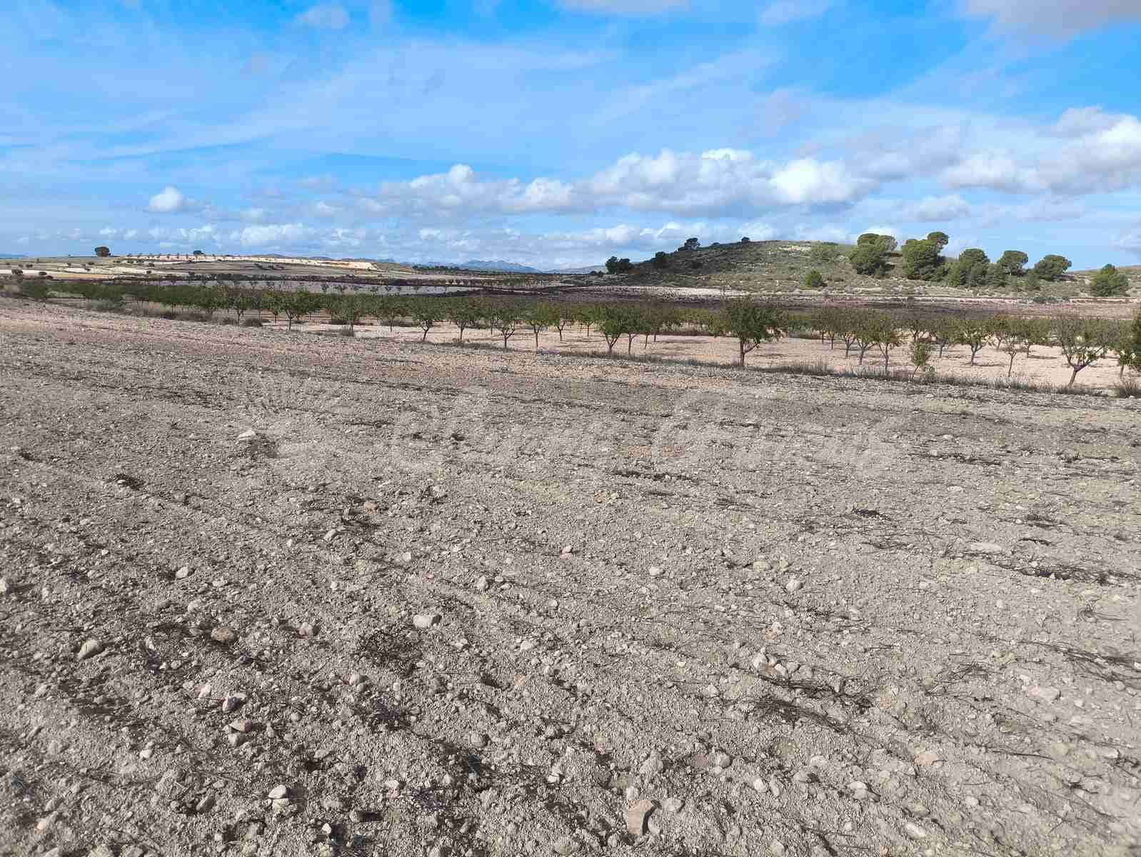 Undeveloped Land for sale in Torre del Rico - € 29,000 (Ref: 9412923)