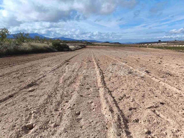 Undeveloped Land for sale in Torre del Rico, Jumilla - € 29,000 (Ref: 9412923)