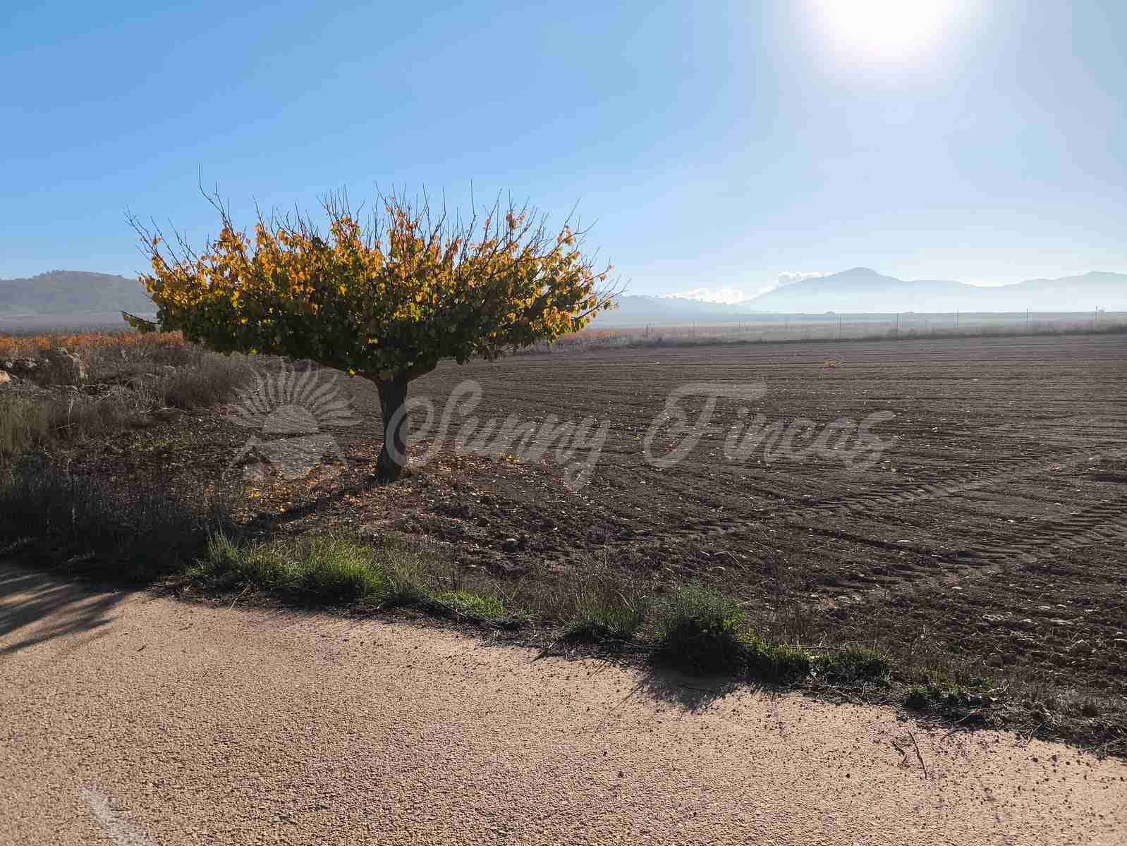 3 chambre Finca/Maison de Campagne à vendre à Yecla avec garage - 63 000 € (Ref: 9417680)