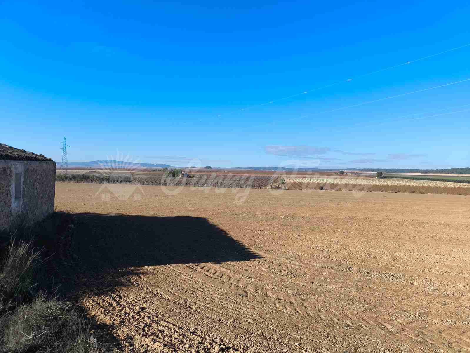 Ruïne te koop in Yecla - € 28.000 (Ref: 9417733)