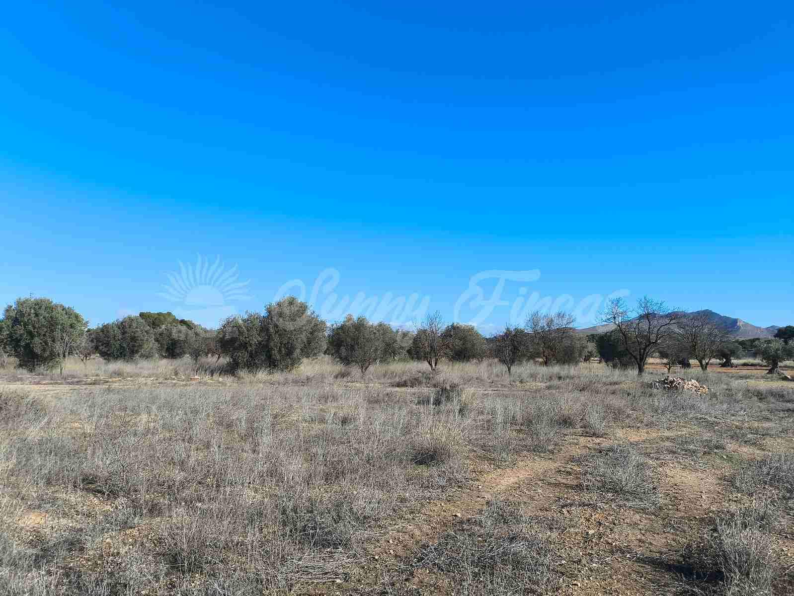 5 camera da letto Finca/Casa di Campagna in vendita in Yecla con garage - 195.000 € (Rif: 9646346)