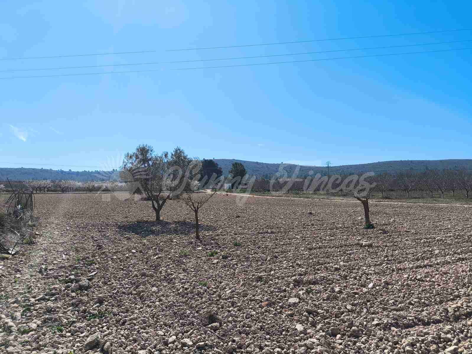 3 chambre Finca/Maison de Campagne à vendre à Villena avec piscine garage - 159 000 € (Ref: 9650599)