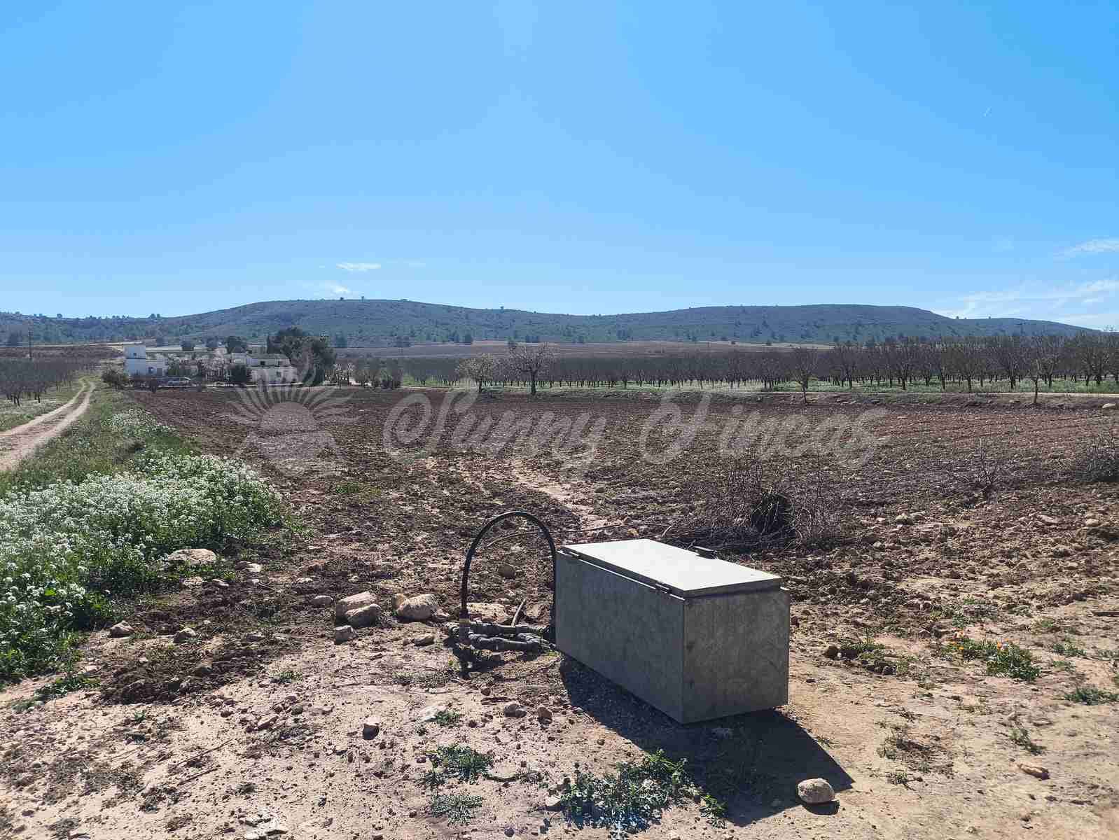 3 chambre Finca/Maison de Campagne à vendre à Villena avec piscine garage - 159 000 € (Ref: 9650599)