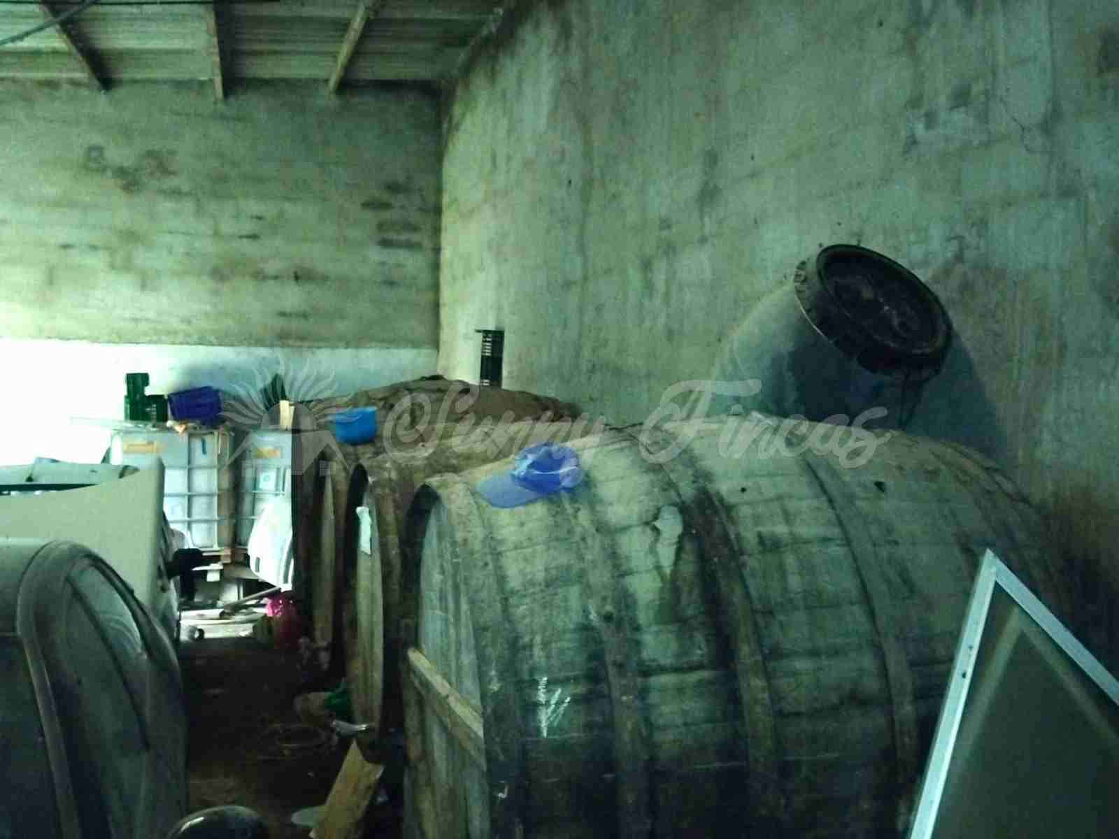 4 chambre Finca/Maison de Campagne à vendre à Pinoso avec garage - 80 000 € (Ref: 9676512)