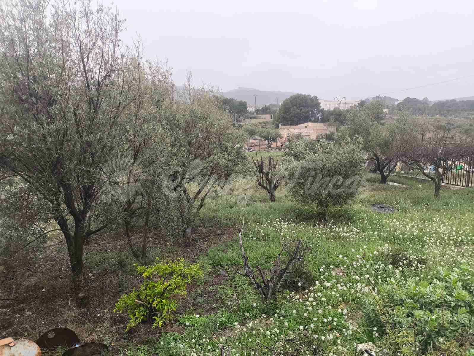 3 chambre Finca/Maison de Campagne à vendre à Monovar / Monover avec piscine garage - 75 000 € (Ref: 9678139)