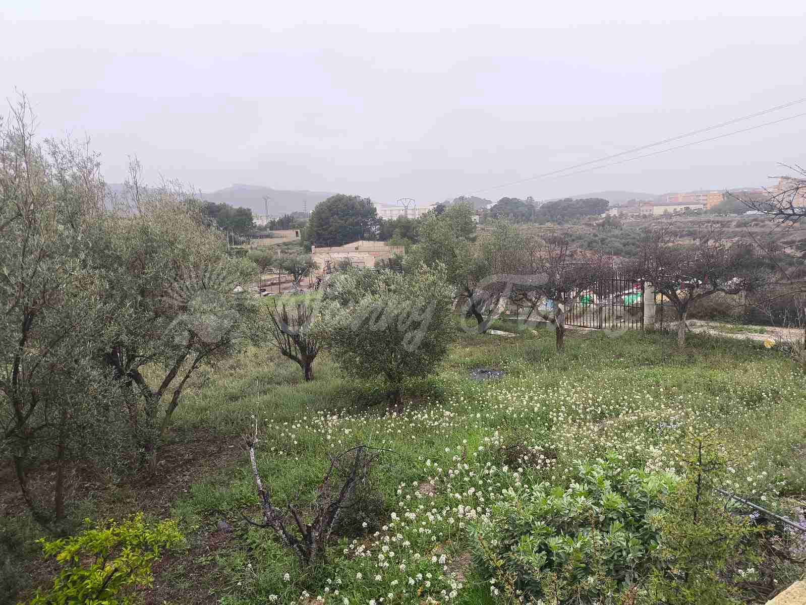 3 chambre Finca/Maison de Campagne à vendre à Monovar / Monover avec piscine garage - 75 000 € (Ref: 9678139)