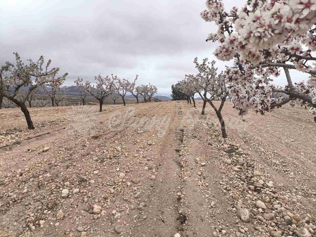 Działka budowlana na sprzedaż w Yecla - 45 000 € (Ref: 9720926)