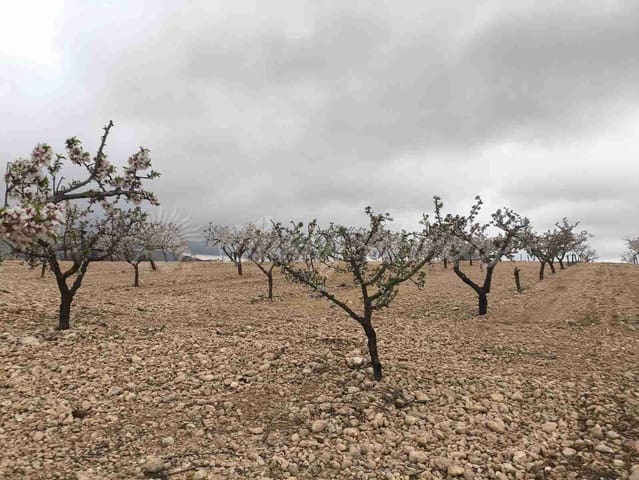 Działka budowlana na sprzedaż w Yecla - 45 000 € (Ref: 9720926)