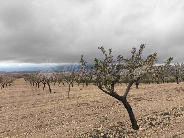 Działka budowlana na sprzedaż w Yecla - 45 000 € (Ref: 9720926)