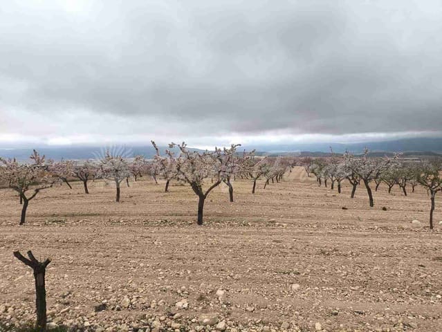 Działka budowlana na sprzedaż w Yecla - 45 000 € (Ref: 9720926)