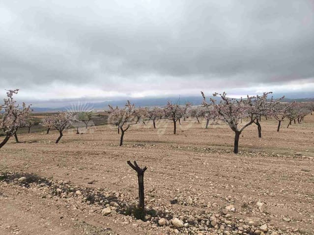 Działka budowlana na sprzedaż w Yecla - 45 000 € (Ref: 9720926)