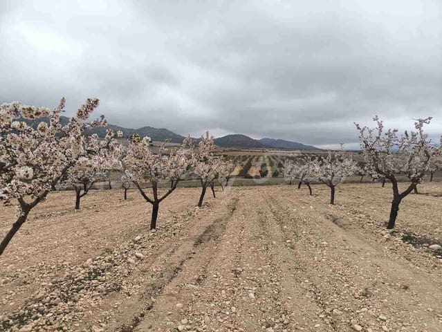 Działka budowlana na sprzedaż w Yecla - 45 000 € (Ref: 9720926)