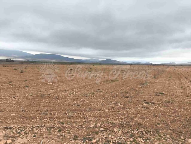 Działka budowlana na sprzedaż w Yecla - 47 000 € (Ref: 9720931)