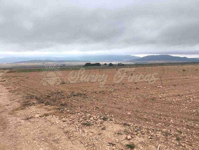 Działka budowlana na sprzedaż w Yecla - 47 000 € (Ref: 9720931)