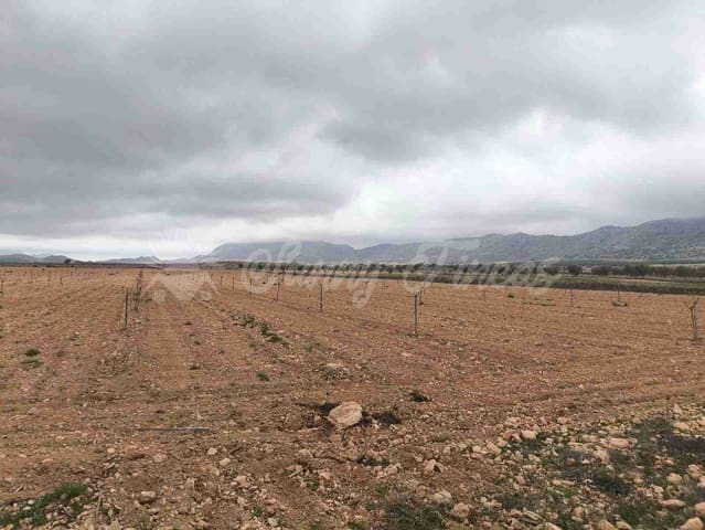 Działka budowlana na sprzedaż w Yecla - 47 000 € (Ref: 9720931)