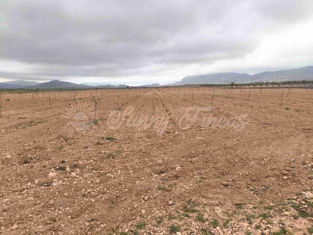 Działka budowlana na sprzedaż w Yecla - 47 000 € (Ref: 9720931)