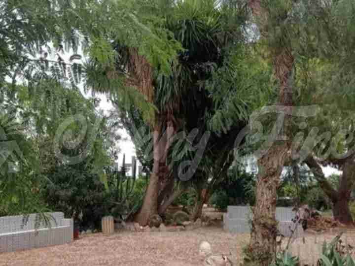 6 slaapkamer Villa te koop in Elche / Elx met garage - € 350.000 (Ref: 9723472)