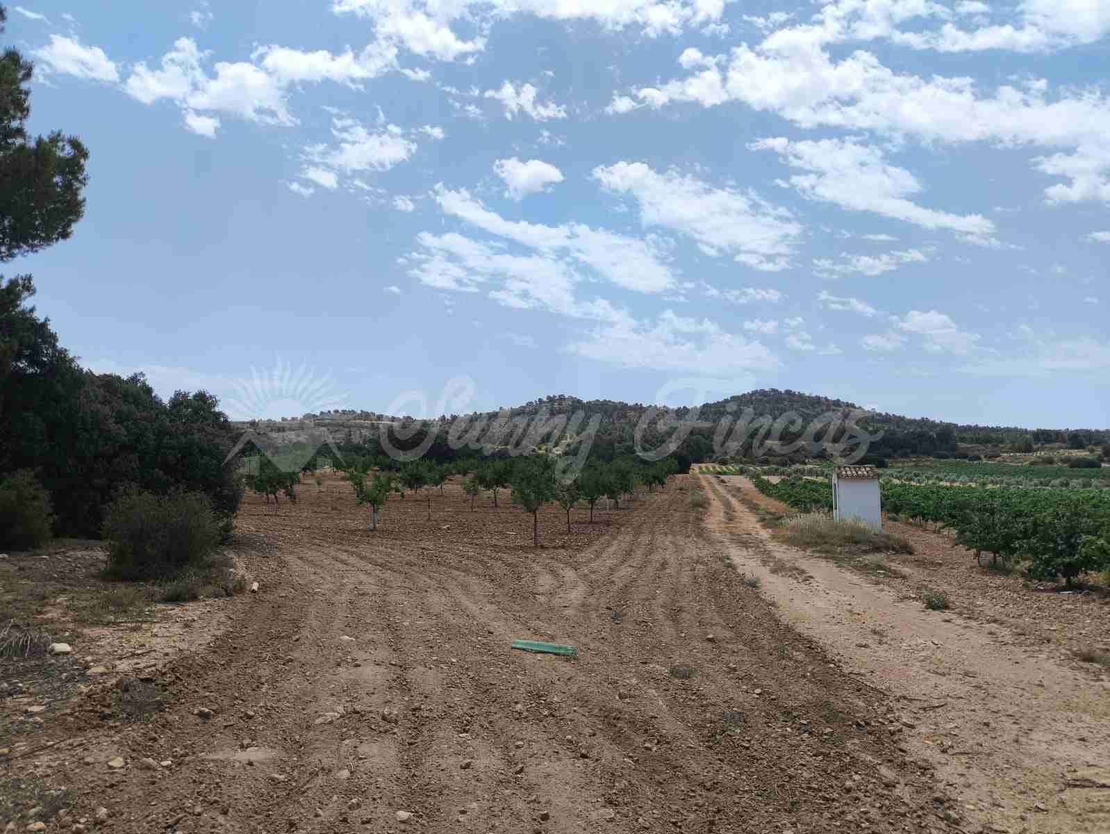 2 bedroom Finca/Country House for sale in Jumilla - € 58,000 (Ref: 9841087)