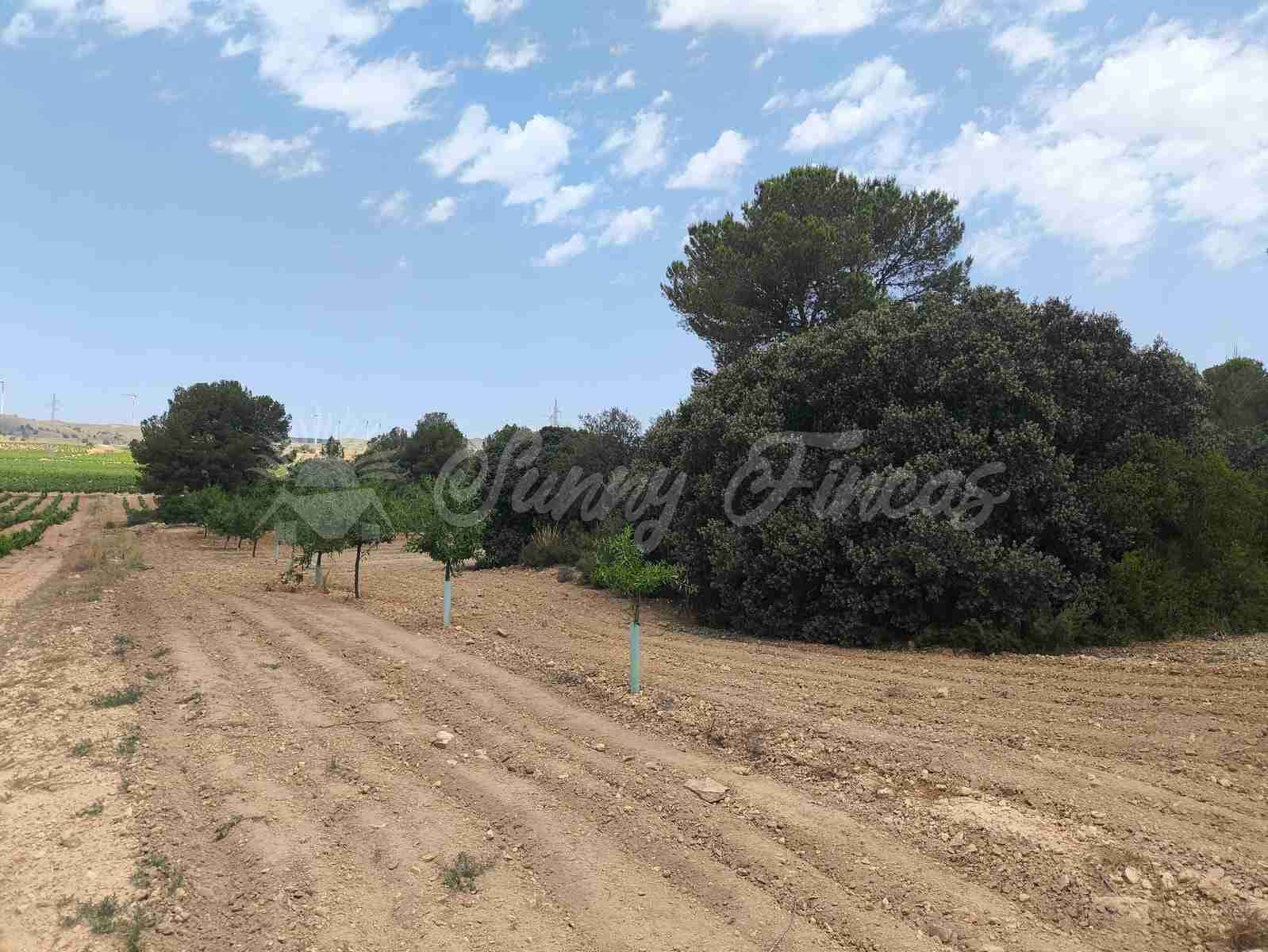 2 bedroom Finca/Country House for sale in Jumilla - € 58,000 (Ref: 9841087)