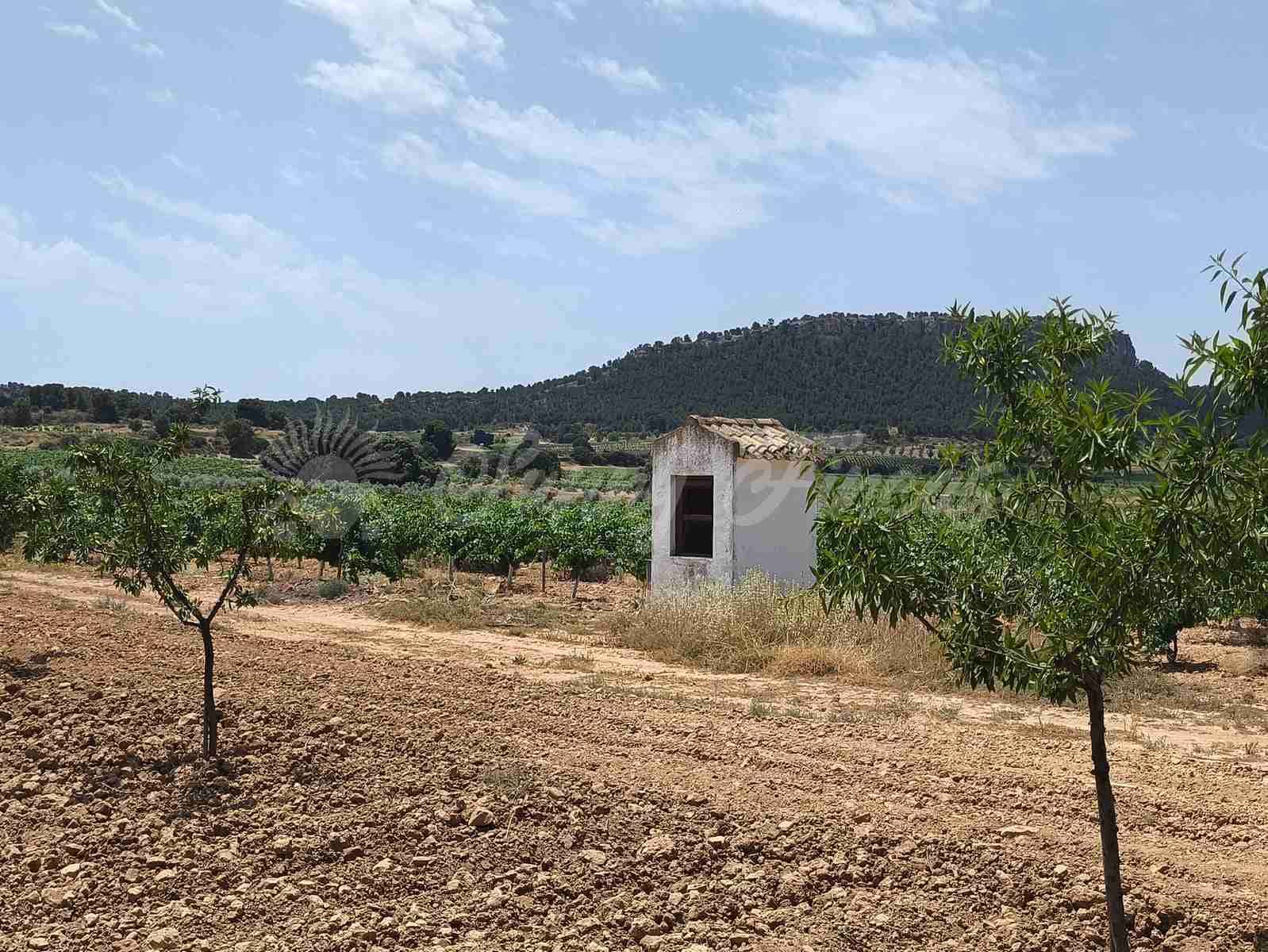 2 bedroom Finca/Country House for sale in Jumilla - € 58,000 (Ref: 9841087)